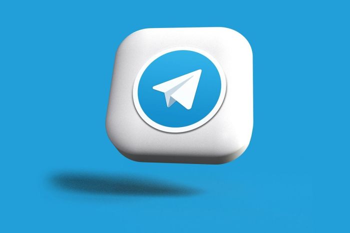 Telegram Raup Untung