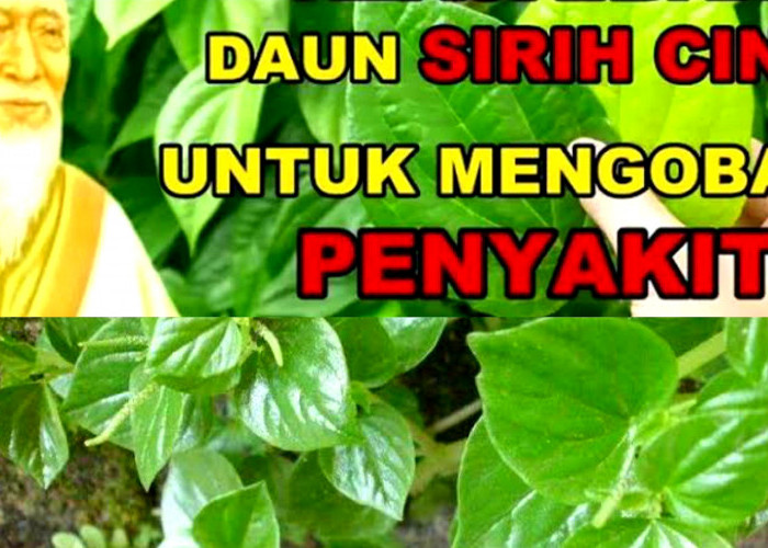 Smartphone dengan Performa Gaming Terbaik untuk Anda