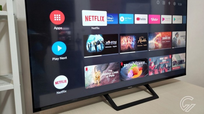Smart TV Mini untuk Gamer dan Movie Lover