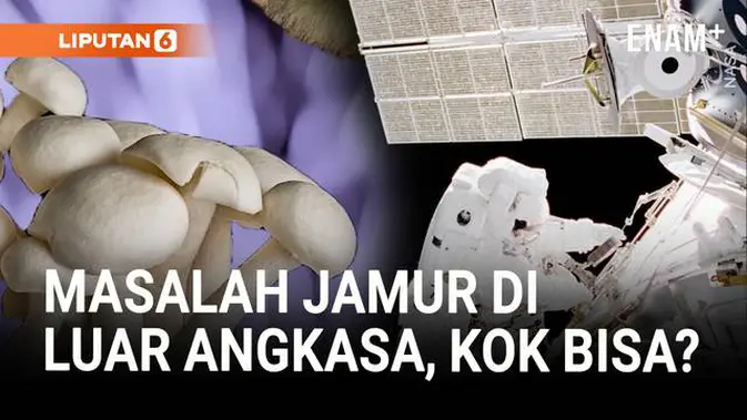 Jamur Menjadi Masalah Besar bagi Astronot di Luar Angkasa