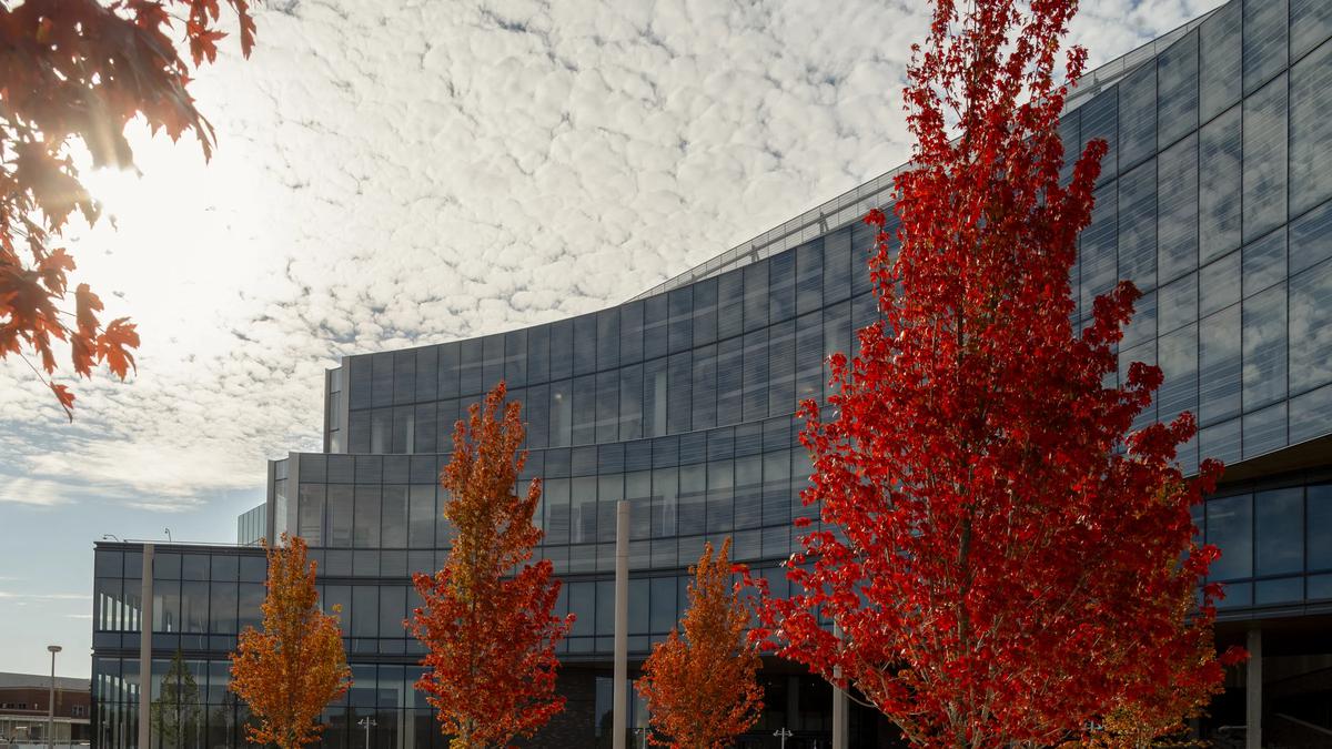 Kantor Pusat Modern Ford Siap Lahirkan Mobil Inovatif